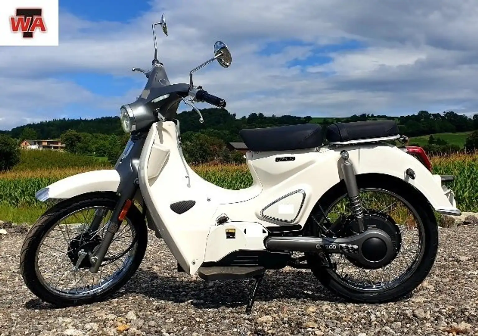Motron Cubertion E-Moped !! Förderung möglich !! Weiß - 1