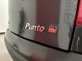 Fiat Punto 5p 1.2 Feel Grigio - thumbnail 14