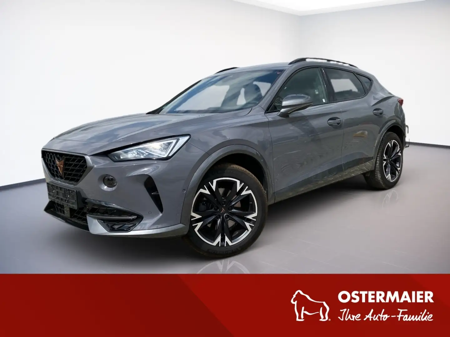 CUPRA Formentor 1.5TSI 150PS DSG LED.KAMERA.ACC.NAVI.SHZG Grijs - 1