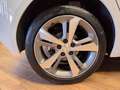 Peugeot 308 308 5p 1.6 bluehdi Allure s&s 120cv Bianco - thumbnail 6