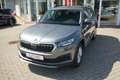 Skoda Kodiaq 1.5 TSI DSG LED Tempomat APP-Connect Grau - thumbnail 18