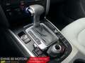 Audi A4 A4 2.0 TDI 177 CV mult. Business Plus - thumbnail 14
