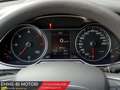 Audi A4 A4 2.0 TDI 177 CV mult. Business Plus - thumbnail 12