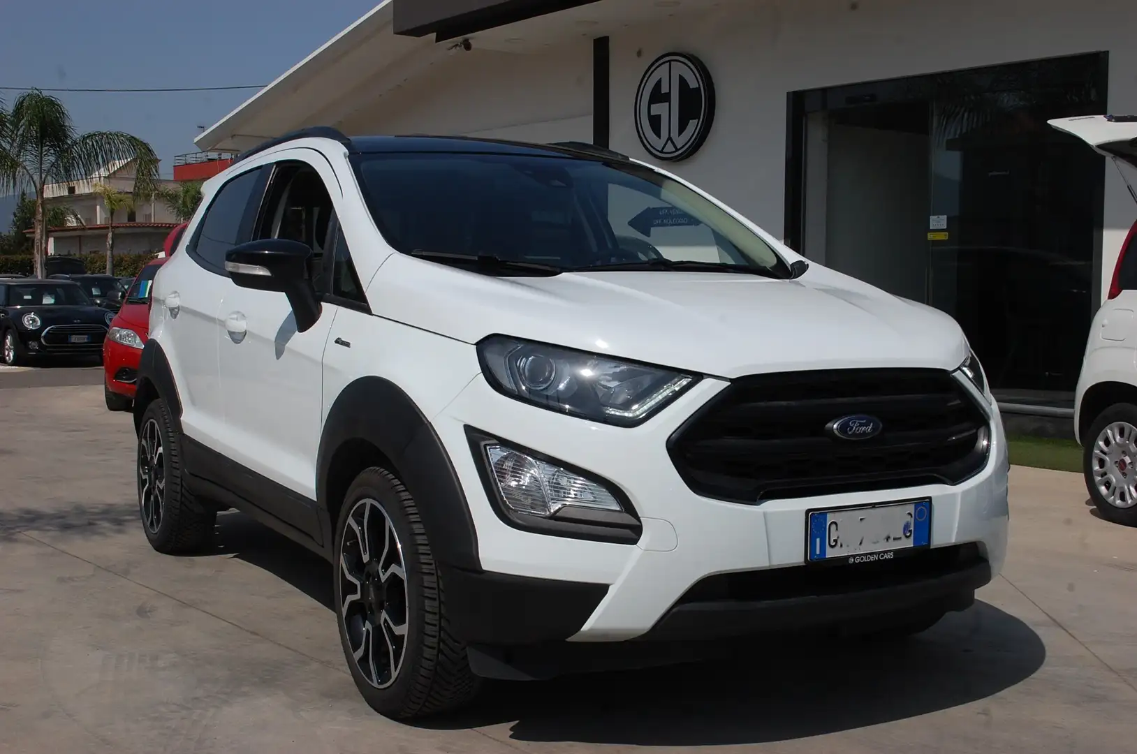 Ford EcoSport 1.0 ecoboost 125CV Active S&S Uff Italy USB Lega Blanc - 1