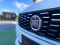Fiat Tipo Tipo 5 porte II 2016 5p 1.4PROMO FINAZIAMENTO Bianco - thumbnail 8