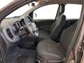 Fiat Panda III 2021 1.0 firefly hybrid s&s 70cv 5p.ti - thumbnail 8