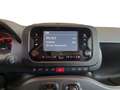 Fiat Panda III 2021 1.0 firefly hybrid s&s 70cv 5p.ti - thumbnail 11