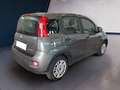 Fiat Panda III 2021 1.0 firefly hybrid s&s 70cv 5p.ti - thumbnail 4