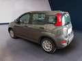 Fiat Panda III 2021 1.0 firefly hybrid s&s 70cv 5p.ti - thumbnail 6