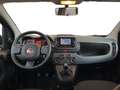 Fiat Panda III 2021 1.0 firefly hybrid s&s 70cv 5p.ti - thumbnail 9