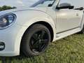 Volkswagen Beetle The Beetle Cabriolet The Cabriolet 1.2 TSI DSG CUP Blanco - thumbnail 18