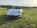 Volkswagen Beetle The Beetle Cabriolet The Cabriolet 1.2 TSI DSG CUP Blanco - thumbnail 20