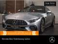 Mercedes-Benz SL 43 AMG Cab. Fahrass WideScreen Burmester Distr+ Silber - thumbnail 1