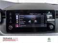 Skoda Kamiq 1.0l TSI Tour LED RADIO AHK SHZ Negro - thumbnail 15