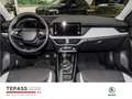 Skoda Kamiq 1.0l TSI Tour LED RADIO AHK SHZ Negro - thumbnail 9