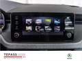 Skoda Kamiq 1.0l TSI Tour LED RADIO AHK SHZ Negro - thumbnail 12