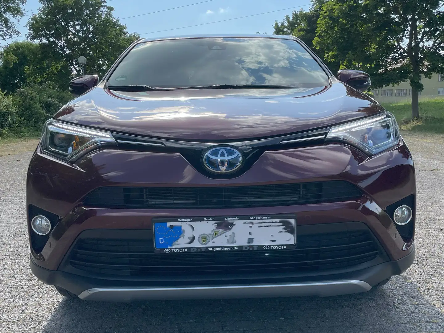 Toyota RAV 4 RAV+4+2.5+4x2+Hybrid+Comfort Rot - 1