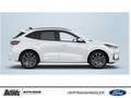 Ford Kuga Kuga PHEV ST-Line X Weiß - thumbnail 2