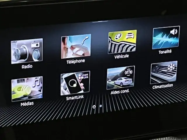Skoda Scala view 21