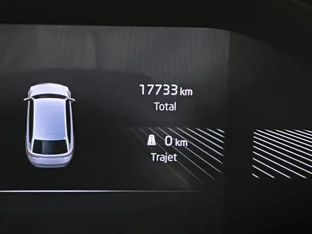 Skoda Scala view 28