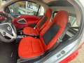 smart forTwo 800 40 kW coupé pure cdi Rosso - thumbnail 7