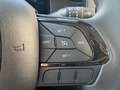 Fiat Panda Panda/Pandina 1.0 GSE Hybrid, Klima, eFH, Zv.m FFB Blau - thumbnail 12