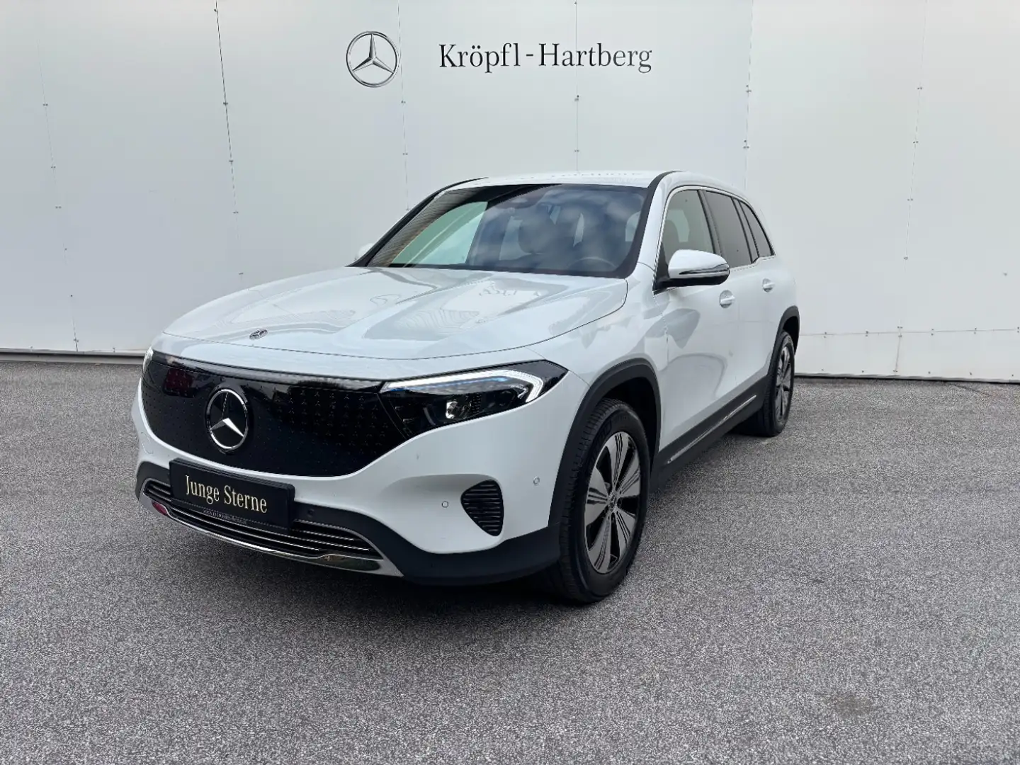 Mercedes-Benz EQB 250 + Österreich-Edition PTS Shz LED Ambi Weiß - 2