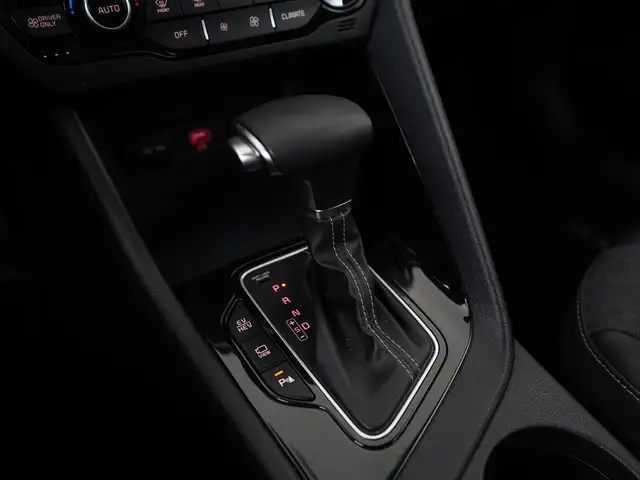 Kia Niro view 12