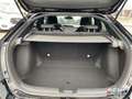 Honda Civic 1.5 VTEC Sport Plus LED Panodach ACC Kam Schwarz - thumbnail 14