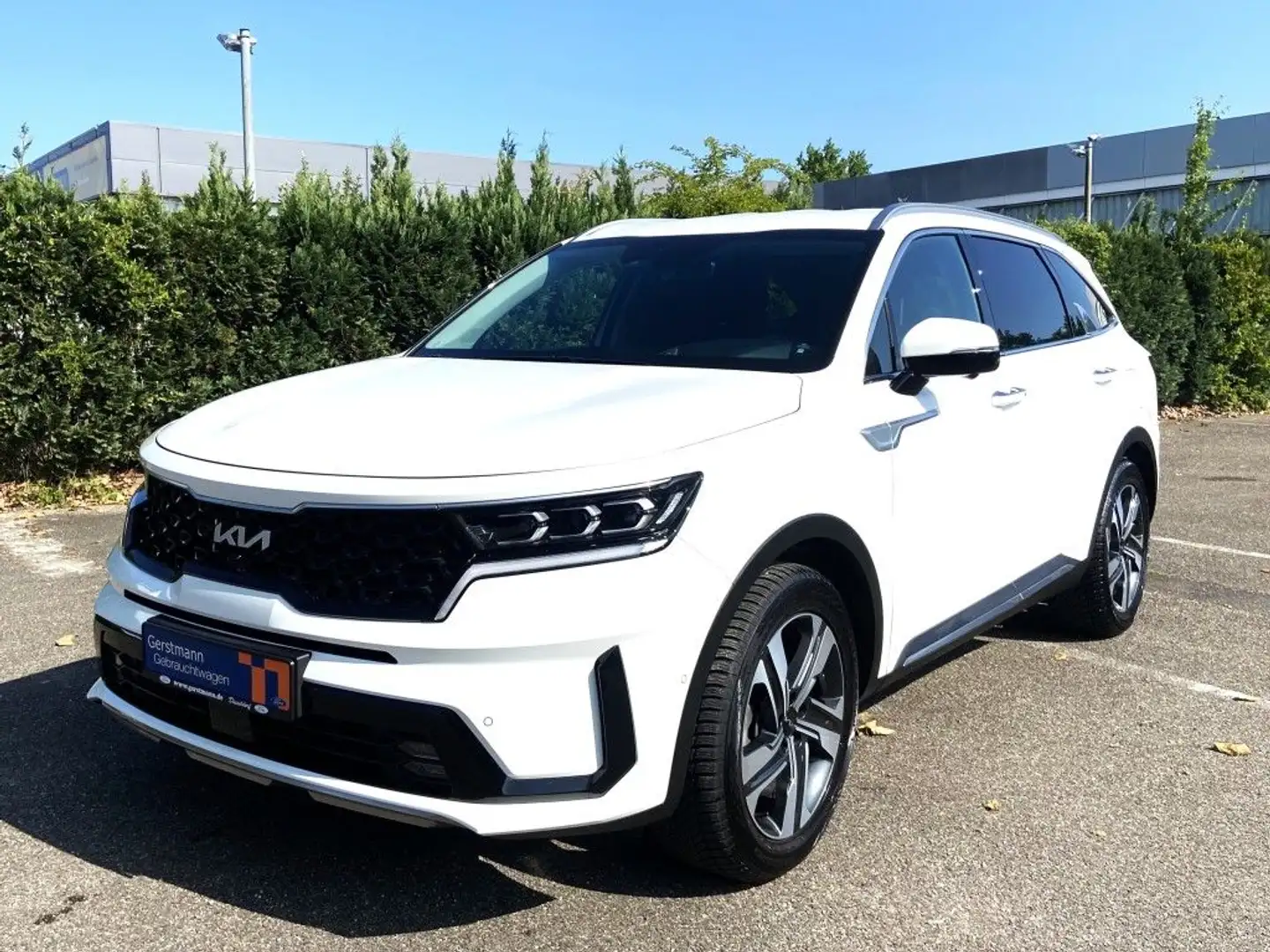 Kia Sorento 1.6T-GDI Hybrid AWD Autom. Platinum Blanc - 1
