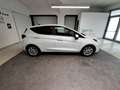 Ford Fiesta 1.0 EcoBoost Hybrid 125 CV Titanium Wit - thumbnail 7