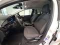 Ford Fiesta 1.0 EcoBoost Hybrid 125 CV Titanium Wit - thumbnail 13