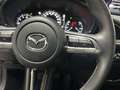 Mazda CX-30 2.0 Skyactiv-G Evolution 2WD 90kW Rojo - thumbnail 16