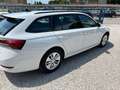 Skoda Octavia 2.0 Executive DSG 150cv Blanc - thumbnail 6