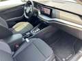 Skoda Octavia 2.0 Executive DSG 150cv Blanc - thumbnail 11