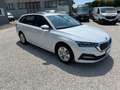 Skoda Octavia 2.0 Executive DSG 150cv Blanc - thumbnail 5