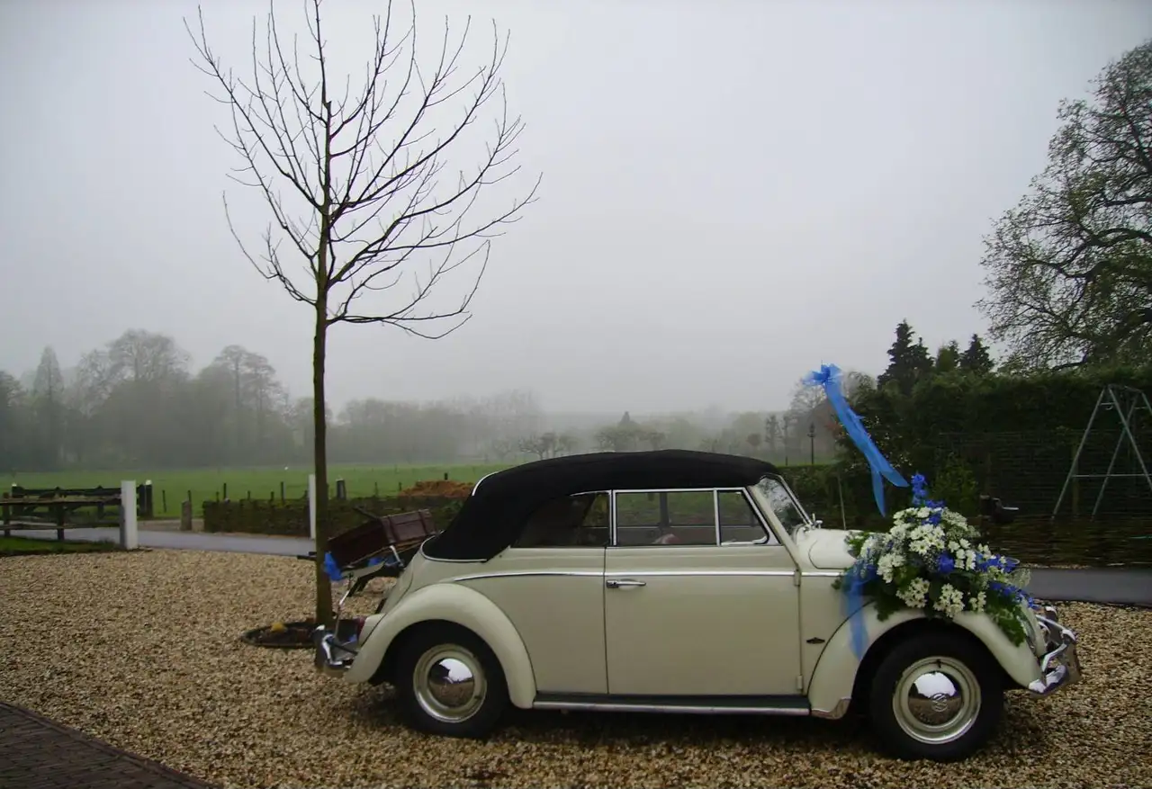 Volkswagen Kever Cabrio, foto 3