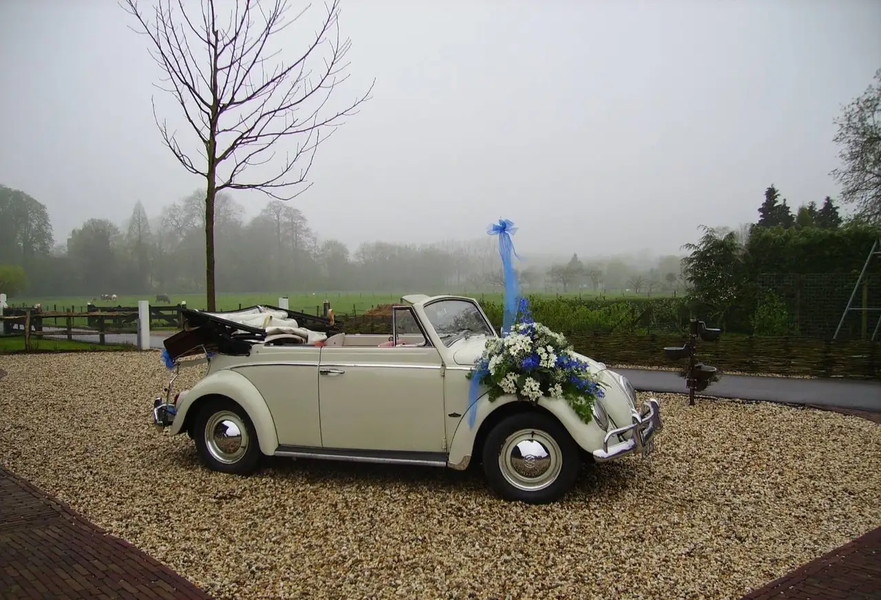 Volkswagen Kever Cabrio, foto 1