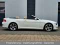 BMW 650 i Cabrio + Headup + Leder + Facelift + TOP!!! Weiß - thumbnail 2