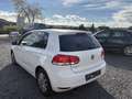 Volkswagen Golf VI-LIM.-Comfortline-NUR  113183KM Weiß - thumbnail 5