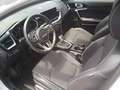 Kia Ceed / cee'd 1.5 MHEV Tech DCT 160 Blanco - thumbnail 7