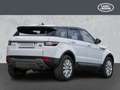 Land Rover Range Rover Evoque SE Weiß - thumbnail 2