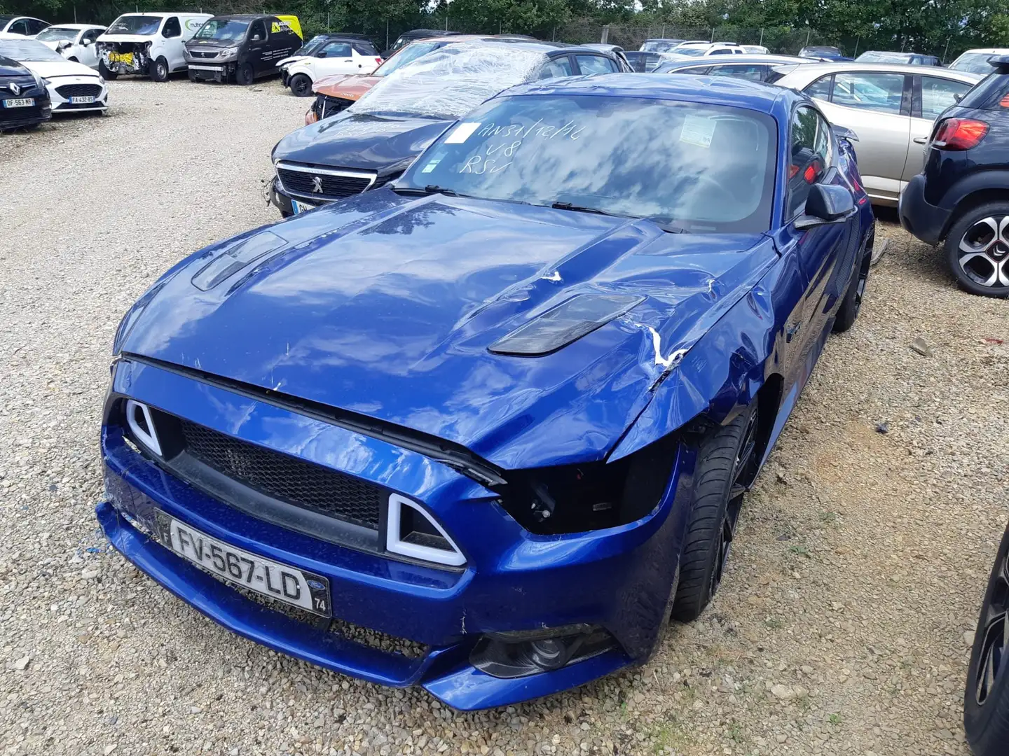 Ford Mustang Mustang GT 5.0 V8 422 / FV567 Bleu - 2