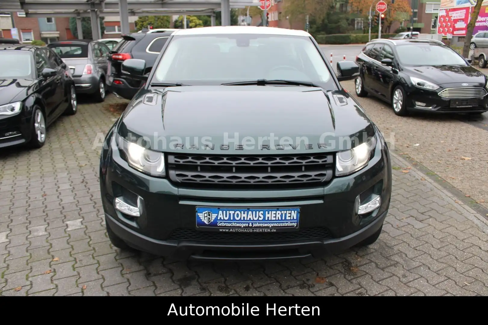 Land Rover Range Rover Evoque 2.2 TD4*LEDER*NAVI*MFL*TOP! Grün - 2