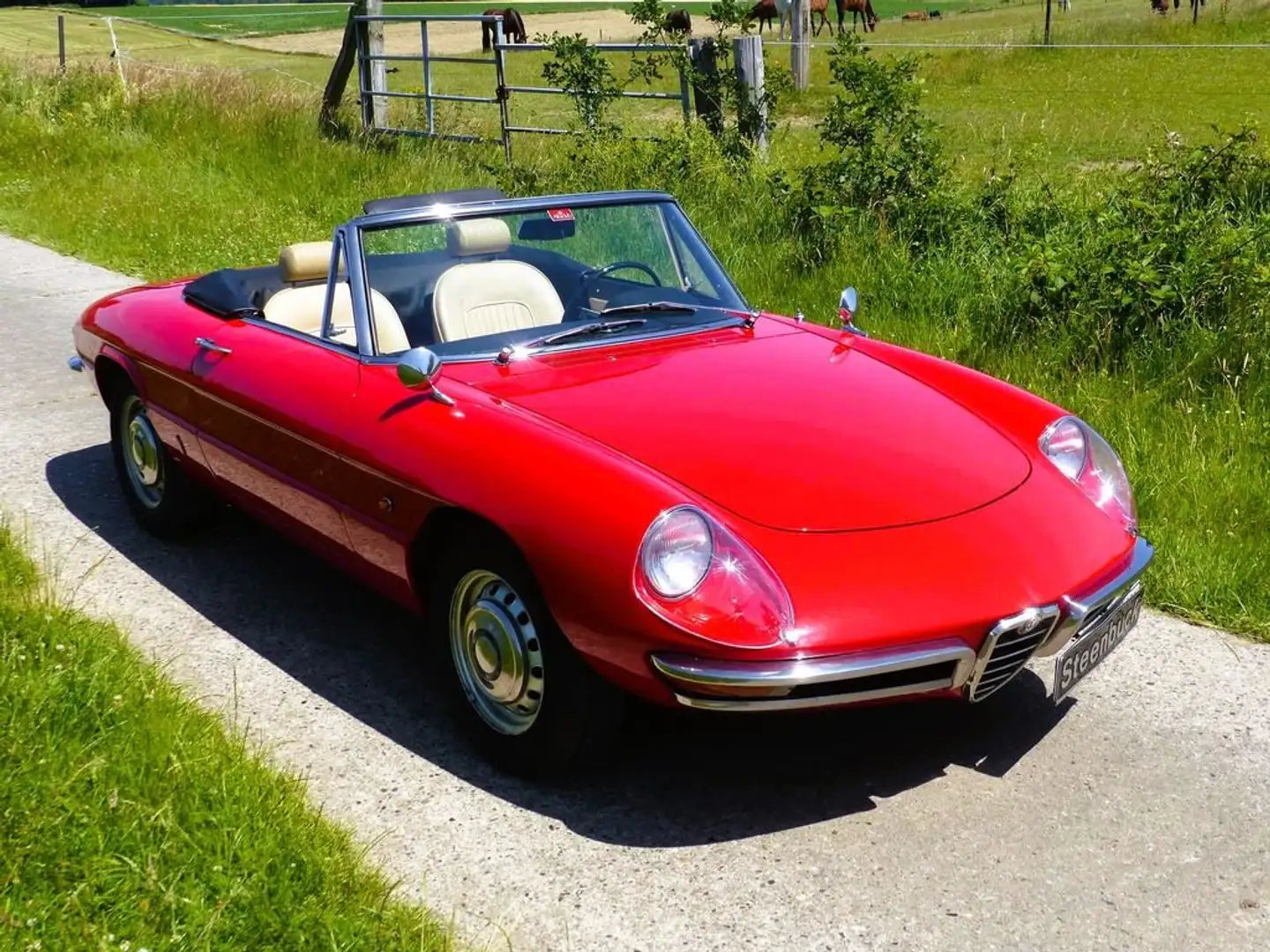 Alfa Romeo Spider 1600 (Duetto) - Motor vom 1750 Rot - 2