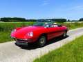 Alfa Romeo Spider 1600 (Duetto) - Motor vom 1750 Rot - thumbnail 1
