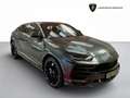 Lamborghini Urus 4.0 V8 auto - IVA ESPOSTA Grigio - thumbnail 1