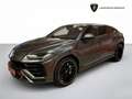 Lamborghini Urus 4.0 V8 auto - IVA ESPOSTA Grigio - thumbnail 3