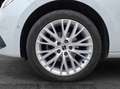 SEAT Leon TSI Xcellence DSG LED AHK Navi ACC Park-Aassist SH Weiß - thumbnail 9