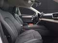 SEAT Leon TSI Xcellence DSG LED AHK Navi ACC Park-Aassist SH Weiß - thumbnail 12